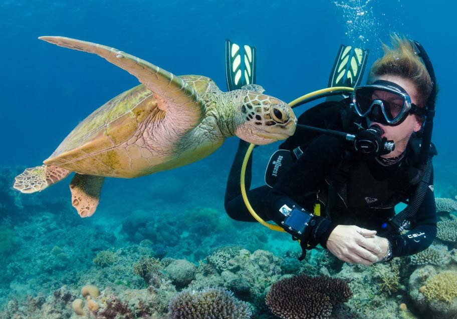 Scuba Diving and Snorkelling