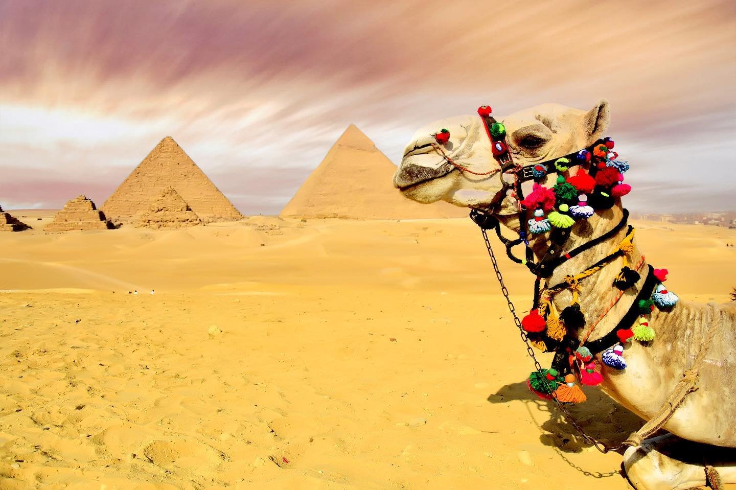 Day Tour to Cairo from Hurghada By Bus