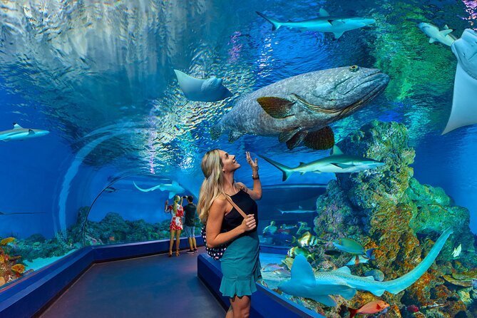 Hurghada Grand Aquarium