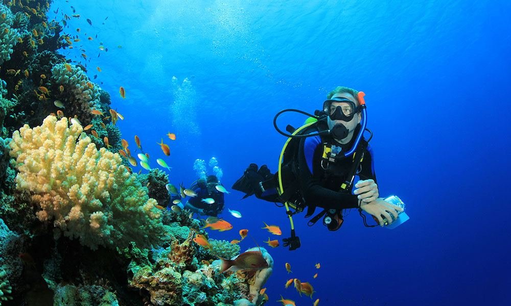 Scuba Diving and Snorkelling