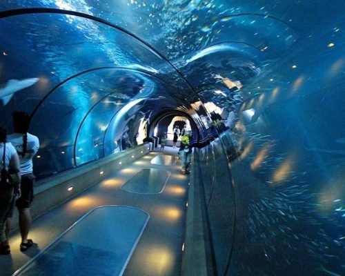 Hurghada Grand Aquarium