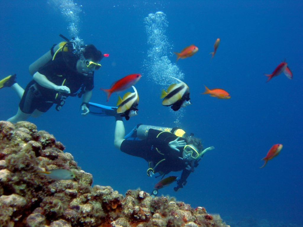 Scuba Diving and Snorkelling