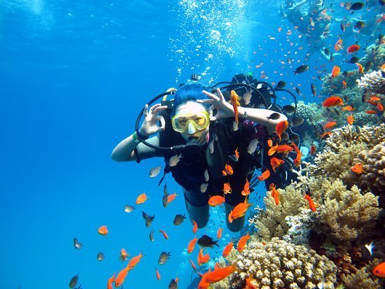Scuba Diving and Snorkelling