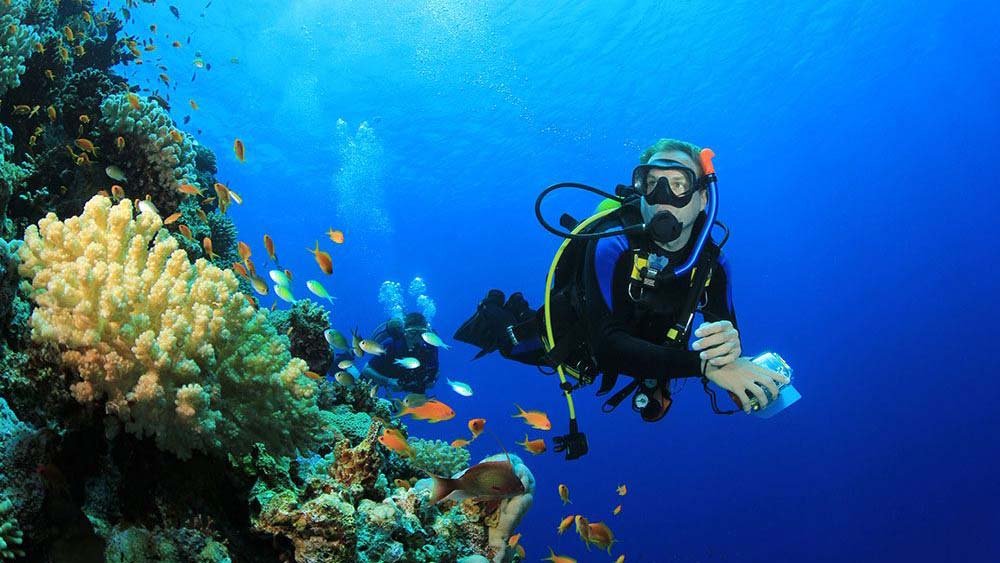 Scuba Diving and Snorkelling
