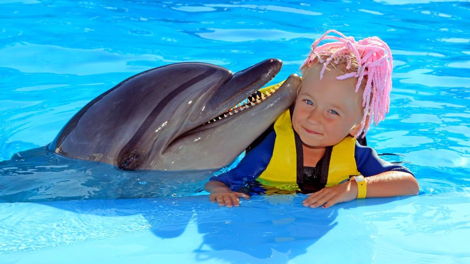 Dolphin Show and Swimming with Dolphins